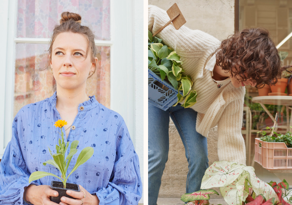Nouvelle collection capsule Des Petits Hauts x Fairly Made ® - Des Petits Hauts