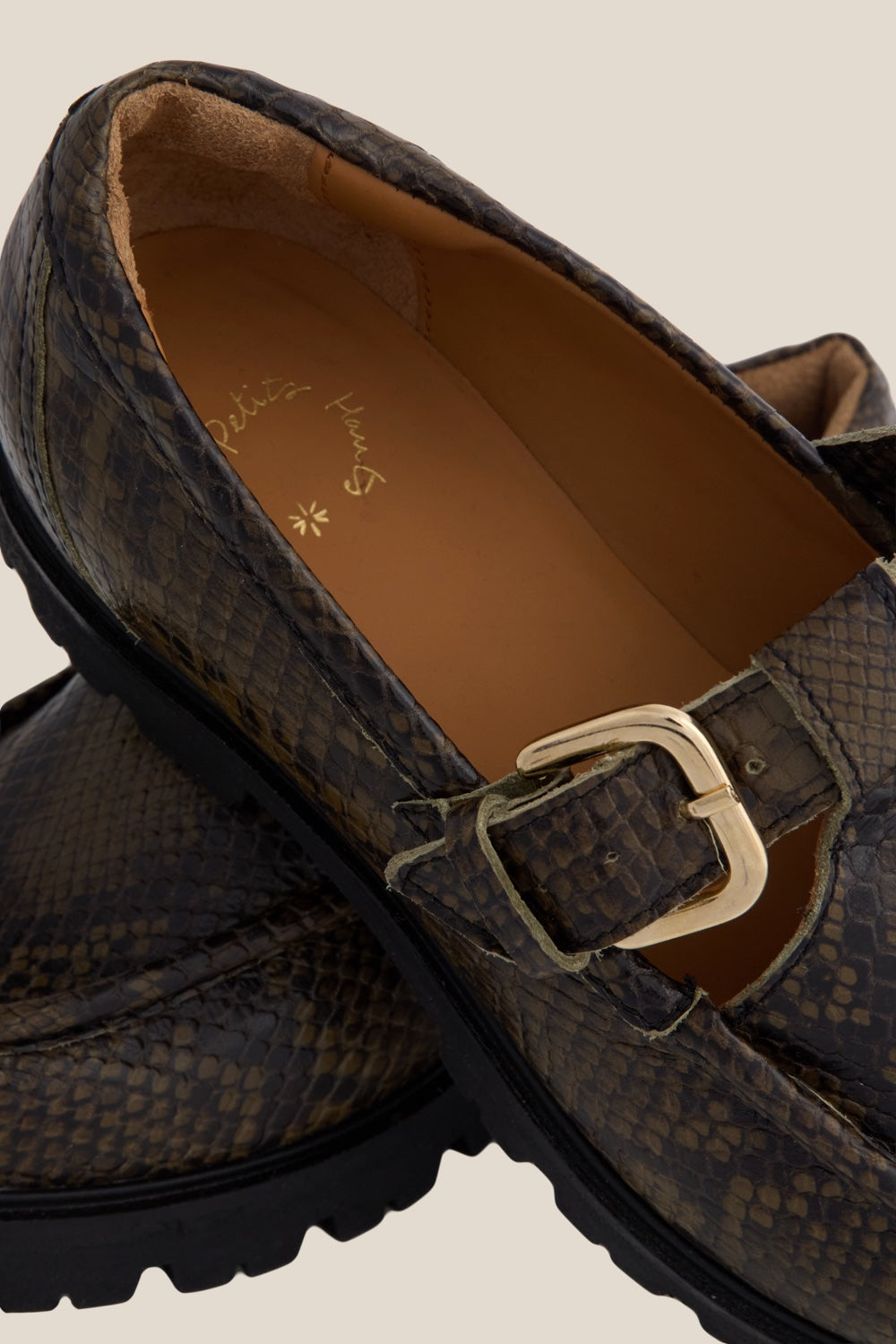 Mary Jane Phany3 Python The