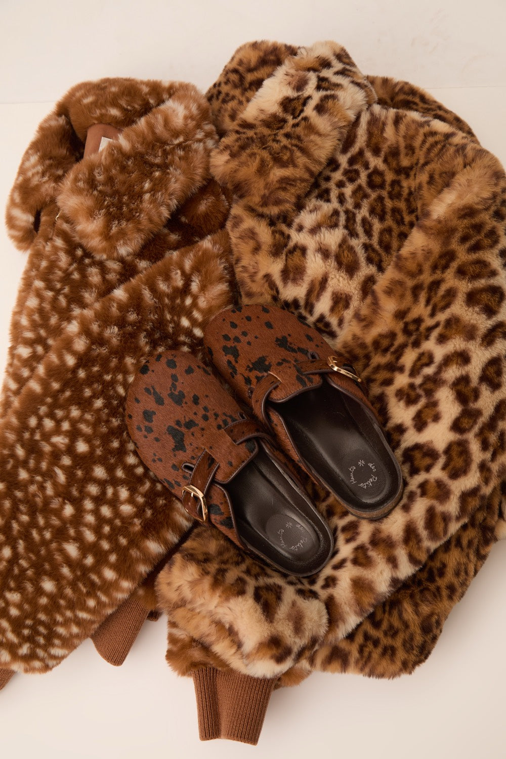 Mules Wambi Brown Cow